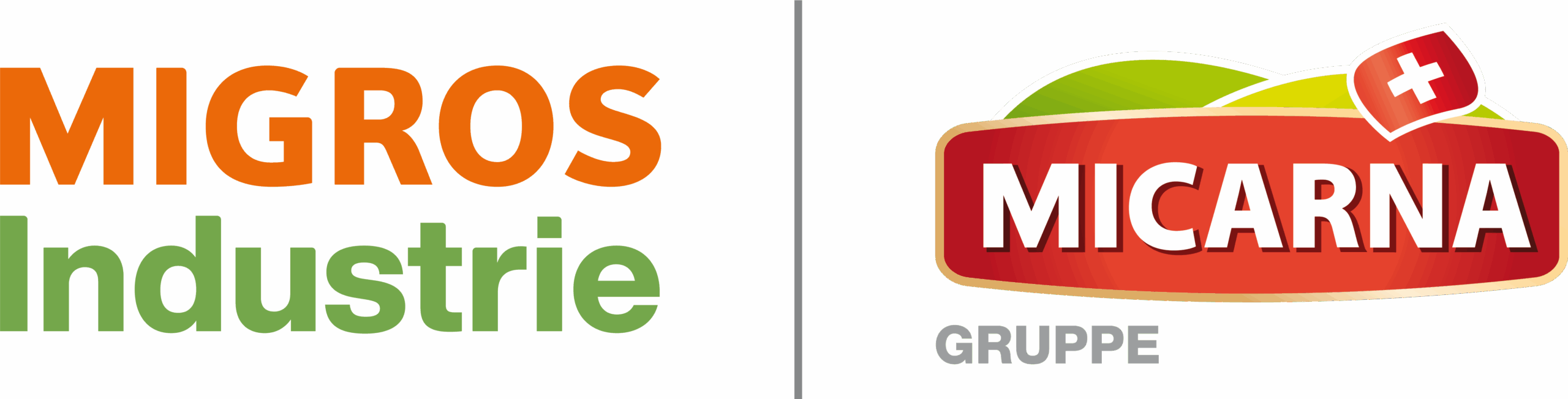 Micrana Group / Migros Industrie logo